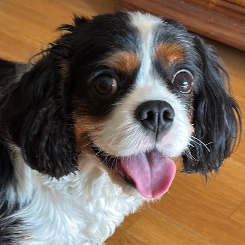 Oskar